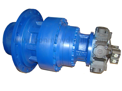 Replace Reggiana Ridduttori Planetary Reducer